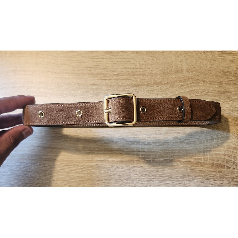 Coach Light Brown Suede /brown Leather Gold Buckle Size XL 16"-26" Dog Collar